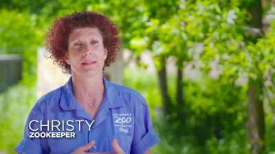 Christy: It is a
surreal experience and
it's super exciting and - Secrets of the Zoo