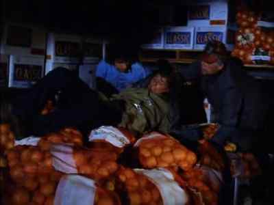 Chuck.
- I'm all right. - Tarantulas: The Deadly Cargo