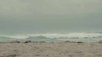 [chuckles]:
I mean, in a metaphysical way, - Roadrunner: A Film About Anthony Bourdain
