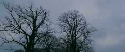 [CHURCH BELLS] - Mary Shelley
