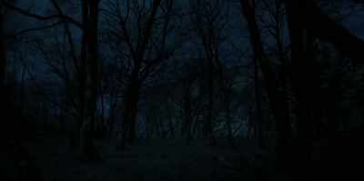 [Ciara] We're almost there.
[gasps] - The Watchers