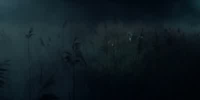I should've traded that ring for food. - The Witcher