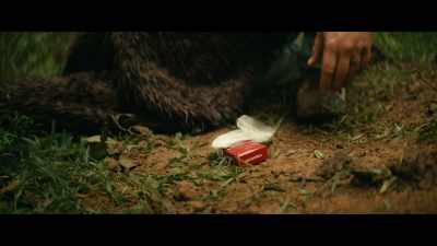 (cigarette pack smacks) - The Bigfoot Trap