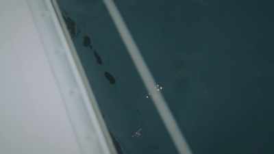 CINDRIC: Captain Ivan
found the tracker, - Drug Lords: The Next Generation