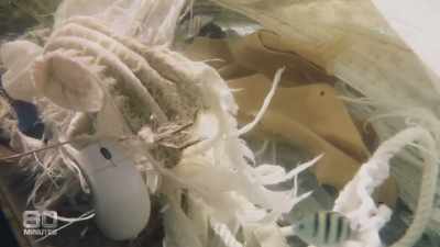 CINDRIC: Tongan Navy
along with the AFP - Drug Lords: The Next Generation