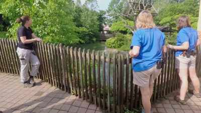 Cindy: No, they'll get her
or she'll figure it out. - Secrets of the Zoo