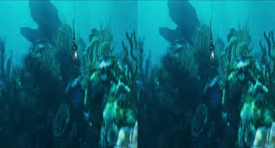 Circle out. - Avatar: The Way of Water
