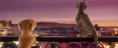 City of dreams, indeed! - Gracie & Pedro: Pets to the Rescue