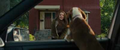 CJ, I'm back! I found you. - A Dog's Journey