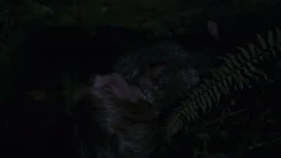 Claire: Jenna! - The Good Doctor