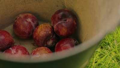(clanging in bucket) - My First Summer