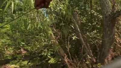 [clanking] - Swamp People