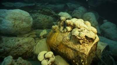 Clarke: These materials can then
be transmitted up - Mysteries of the Deep