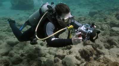 Clarke:
Through modern archaeology, - Mysteries of the Deep