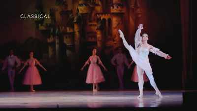  Classical ballet
is usually known for their slow movement. - On Pointe