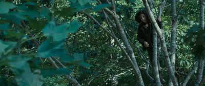 CAESAR: Claudius, I think those are tracker jackers Am I wrong? - The Hunger Games