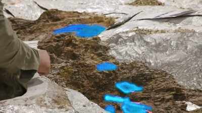 Clayton:
I REMEMBER SEEING THAT.
YOU KNOW, - Dino Hunters