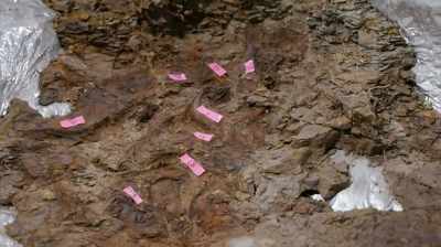 Clayton: IT'S A PRETTY COOL DAY
FOR SCIENCE - Dino Hunters