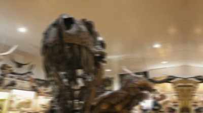 Clayton: MOSTLY IT'S MUSEUMS
THAT CAN RAISE THE MONEY - Dino Hunters