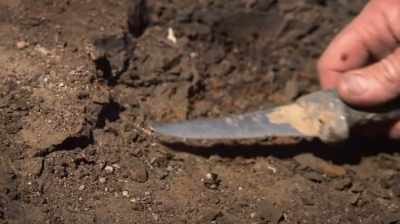 Clayton:
WE HAVE ABOUT 40 BONES, - Dino Hunters