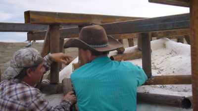 Clayton:
WE'RE GONNA HAVE TO WORK HARD - Dino Hunters