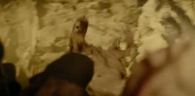 Clear! Clear! On your left! - Come up. - Fall back! Move. Fall back! Leon! Leon, we gotta go this wa - Primitive War