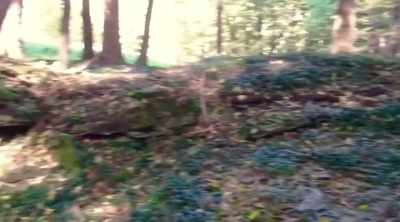 Clearly this is a very
ancient megalithic complex, - Alien Worlds: Giants and Hybrids