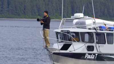Clearly, there's a complexity
that's occurring on a very high level. - Secrets of the Whales