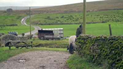 CLEMMIE GIGGLES - Our Yorkshire Farm