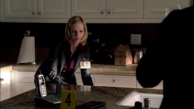 Clever. - CSI: Crime Scene Investigation