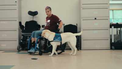 Clients may have mobility disabilities, - Inside the Mind of a Dog