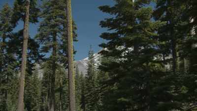 CLIFF: Walking Eagle’s story
sounds eerily - Into the Unknown