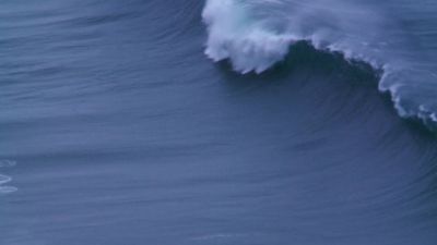 Climate is controlled by the oceans - Racing Extinction
