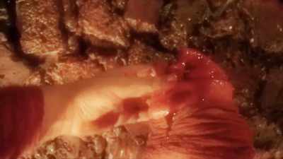 clip-tt4978404-s0e0 - Hotel Inferno 2: The Cathedral of Pain