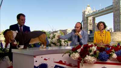 clip-tt8358168-s0e0 - The Royal Wedding Live with Cord and Tish!