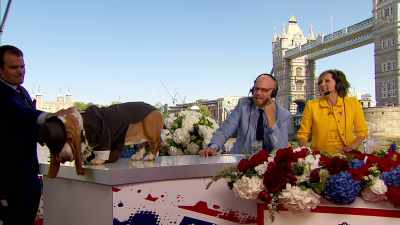 clip-tt8358168-s0e0 - The Royal Wedding Live with Cord and Tish!