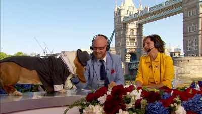 clip-tt8358168-s0e0 - The Royal Wedding Live with Cord and Tish!