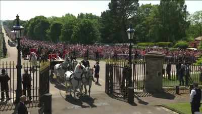 clip-tt8358168-s0e0 - The Royal Wedding Live with Cord and Tish!