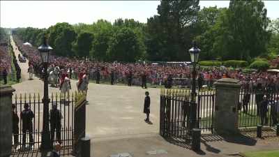 clip-tt8358168-s0e0 - The Royal Wedding Live with Cord and Tish!