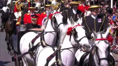 clip-tt8358168-s0e0 - The Royal Wedding Live with Cord and Tish!