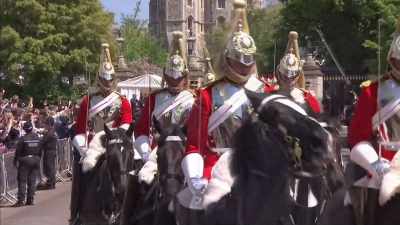 clip-tt8358168-s0e0 - The Royal Wedding Live with Cord and Tish!