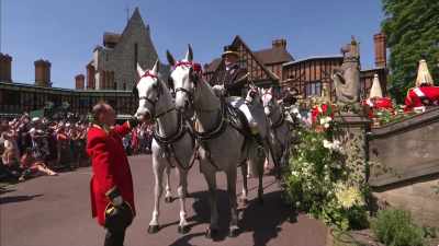 clip-tt8358168-s0e0 - The Royal Wedding Live with Cord and Tish!