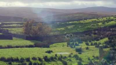 CLIVE CHUCKLES - Our Yorkshire Farm