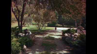 Close the gate, Miss Priscilla! - Lassie Come Home