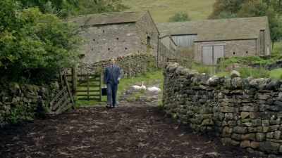 CLUCKING - All Creatures Great & Small