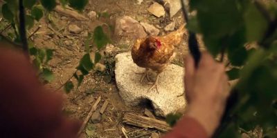 [clucking] - Lost in Space
