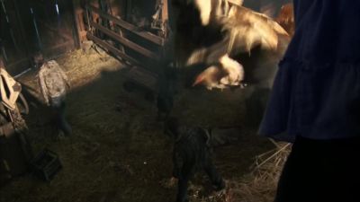 ( clucking ) - The Walking Dead