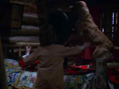 Cluss, come on.
Get him. - Further Adventures of the Wilderness Family