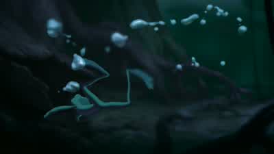 - C'mon, come here! - The Princess and the Frog