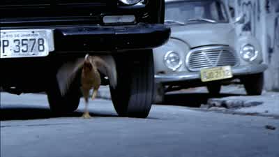 C'mon, let's go. - City of God